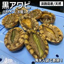 【送料無料】天然黒あわび（活）8個小サイズ80〜120g合計800g【smtb-k】【kb】【楽ギフ_のし】【北海道・沖縄は送料…