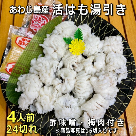 豊前海産の新鮮なハモ 活き〆鱧カツ 1200g 冷凍 骨切り処理済 上野水産【送料込】