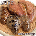 淡路産活赤なまこ(アカナマコ)素もぐり漁獲(海鼠活)【販売期間:12月~5月】