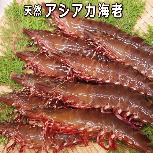 øϩŷϷɹˡBBQ־Ƥӥե饤ѡˡʥ/ޥӡˡ­֥ӡӡˡ֡95...