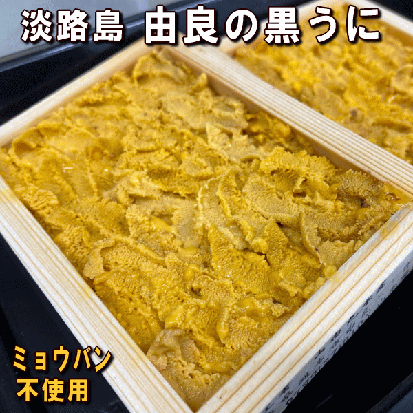 由良の黒うに(生食用・黒ウニ）天然無添加 ミョウバン不使用【