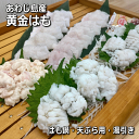 あわじ島産 黄金はも (鱧・ハモ・はも・生・こがねはも)【楽ギフ_のし】【お中元】【ギフト】【父の日】【母の日】【販売期間:4月~11月】(落とし・ 湯引き)