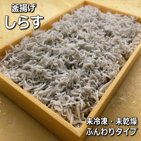 Ȥ餹γȤøϩ̵ۡźáۡʤ餹饹ˡ֡ǯۢ¡ȯ5
