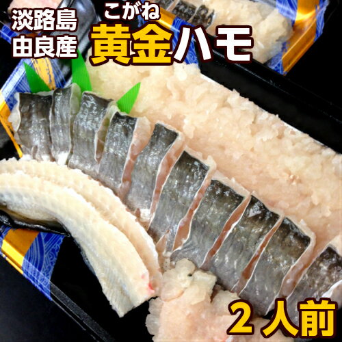 【ふるさと納税】光の骨切り鱧 送料無料 魚 鱧 冷凍先行予約 2024年7月から順次発送 BP001