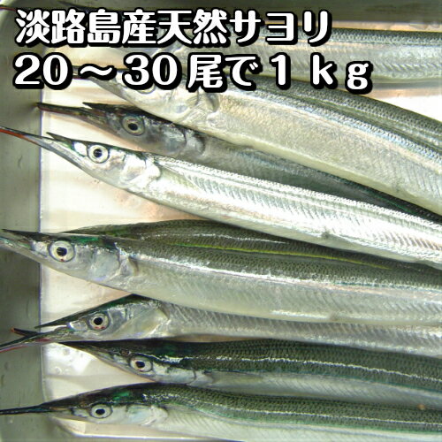 淡路島産さより（サヨリ・氷〆）20〜30匹計約1kg