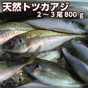 冷凍惣菜　時短ごはん　角屋食品 やさしい日本のアジフライ 鳥取産 50g×4枚入　 4パック　水産フライ 小ぶり 油で揚げるだけ 冷凍 時短調理 冷めてもおいしい