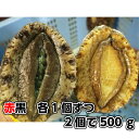 淡路産天然あわび（活）つがいのアワビ赤と黒セット2個で約500g（アカアワビ・クロアワビ）【楽ギフ_のし】