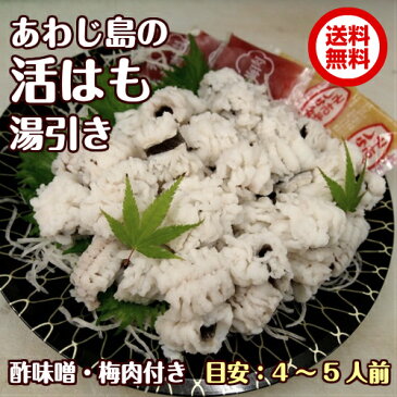 【送料無料】淡路産活はも湯引き【4〜5人前】30切れ入り酢味噌・梅肉付き【smtb-k】【kb】【楽ギフ_のし】【ギフト対応】※北海道・沖縄は送料別途800円（鱧・ハモ・はも・落とし）