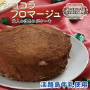 【送料無料】 スイーツ チーズ フロマージュ ショコラ ホール 4号(12cm) 2021 ギフト プレゼント ベイクド チーズケーキ レアチーズ スイーツ ケ...