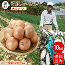 【期間限定10%OFF】【送料無料】淡路島玉ねぎ【訳あり大玉サイズ】10キロ☆ 淡路島 玉ねぎ たまねぎ タマネギ 玉葱 淡路 #大玉たまねぎ10K#「たまねぎ 10kg 送料無料」 たまねぎ 玉葱 玉ねぎ