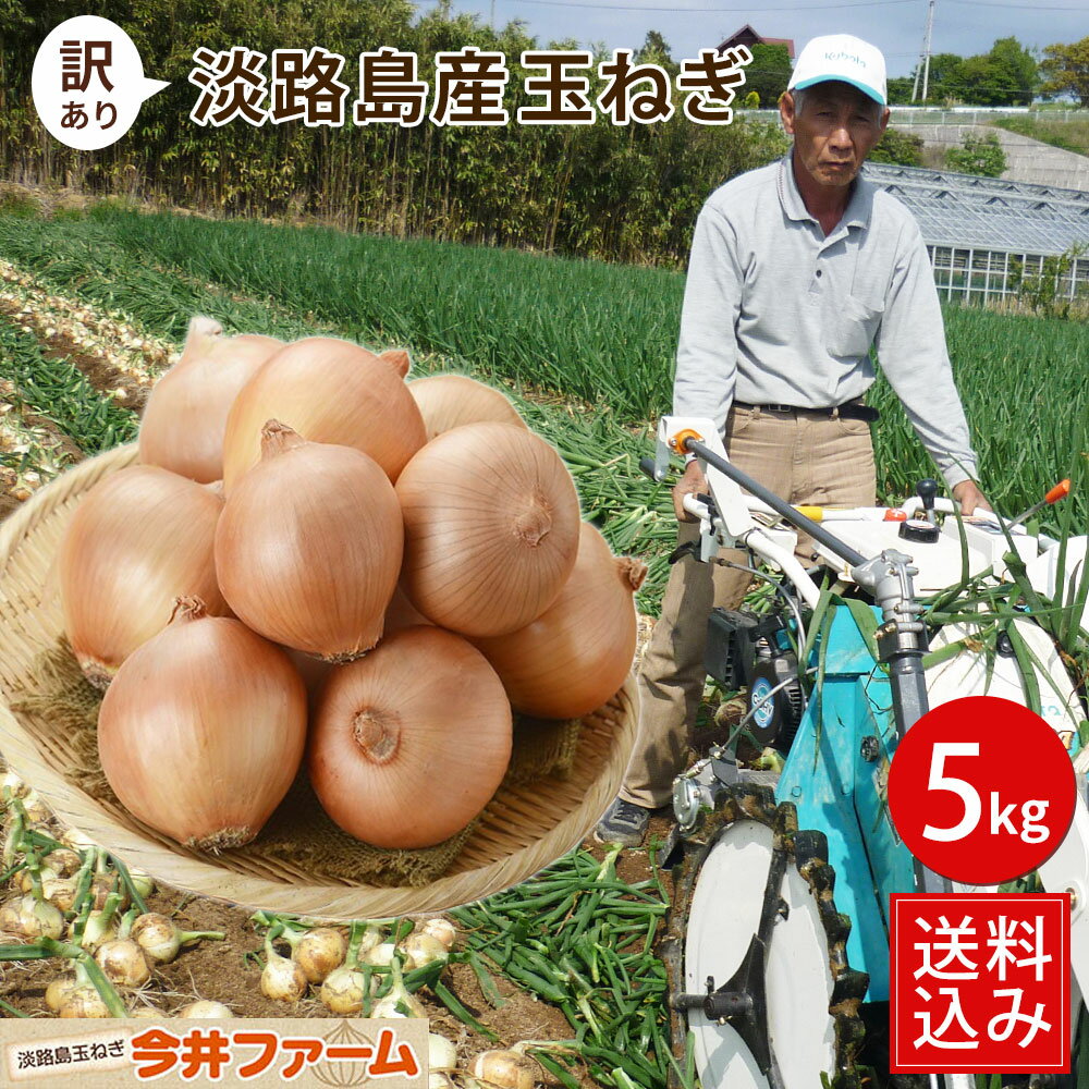 【送料無料】【訳あり】淡路島たまねぎ5キロ 【タマネギ】たまねぎ＃訳あり淡路玉ねぎ5K＃ 「淡路島産たまねぎ」 淡路島 玉ねぎ 玉葱 タマネギ たまねぎ たまねぎ 玉葱 玉ねぎ