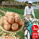 淡路島玉ねぎ3キロ 【タマネギ】【たまねぎ】#淡路たまねぎ3kg# 淡路島 玉ねぎ たまねぎ タマネギ 玉葱 たまねぎ 玉葱 玉ねぎ