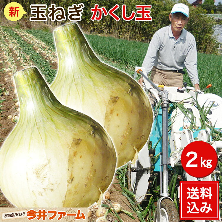 【送料無料】淡路島たまねぎかくし玉＃かくし玉2K＃ 淡路島 玉ねぎ 玉葱 たまねぎ 玉葱 新たまねぎ 新玉葱 新玉ねぎ 新玉のサムネイル