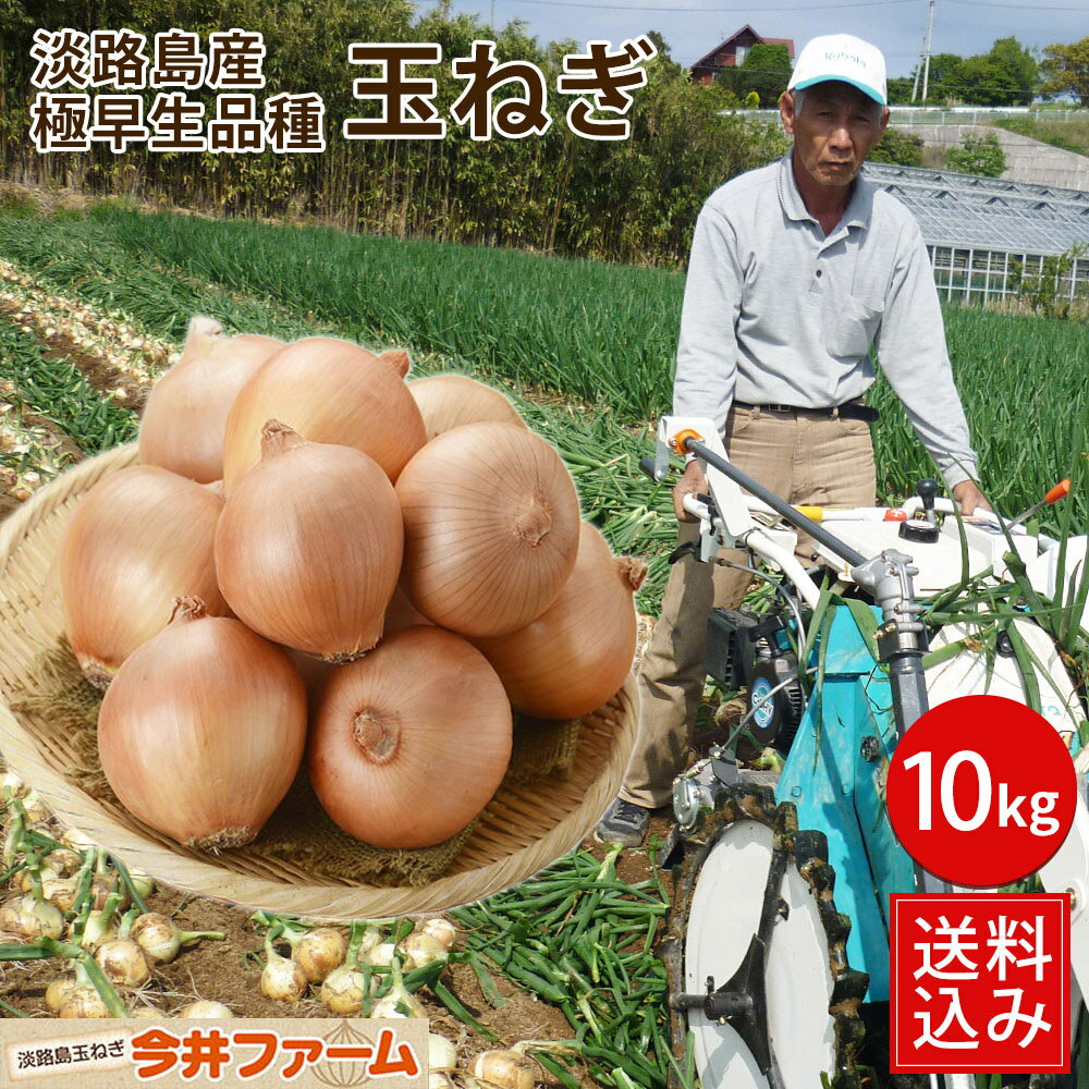 【極早生品種】今井ファーム 淡路島産たまねぎ 【かくし玉10K(5キロ×2)】 送料無料 【有機栽培】#かくし玉10K#たまねぎ たまねぎ 玉葱 タマネギ たまねぎ 玉葱 玉ねぎ