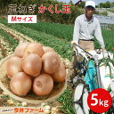 【期間限定10%OFF】 淡路島たまねぎかくし玉#かくし玉5K Mサイズ# 淡路島 玉ねぎ たまねぎ たまねぎ 玉葱 玉ねぎ