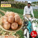 【期間限定10%OFF】淡路島たまねぎかくし玉 大玉サイズ 3kg#かくし玉3kg大玉# 淡路島 玉ねぎ たまねぎ 玉葱 たまねぎ 玉葱 玉ねぎ(4)