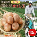 【期間限定10%OFF】 淡路島たまねぎかくし玉 小粒 ペコロス S 2Sサイズ 10kg#かくし玉sサイズ10キロ# 淡路島 玉ねぎ たまねぎ 玉葱 たまねぎ 玉葱 玉ねぎ