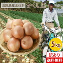 【期間限定10%OFF】淡路島たまねぎかくし玉【訳あり】5kg #かく...(4)