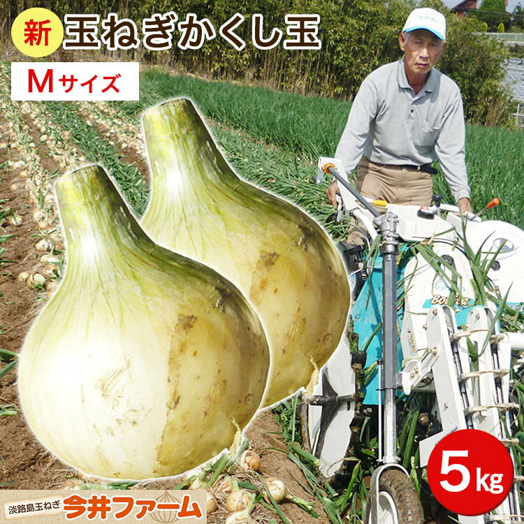 淡路島たまねぎかくし玉#かくし玉5K Mサイズ# 淡路島 玉ねぎ たまねぎ たまねぎ 玉葱 玉ねぎ