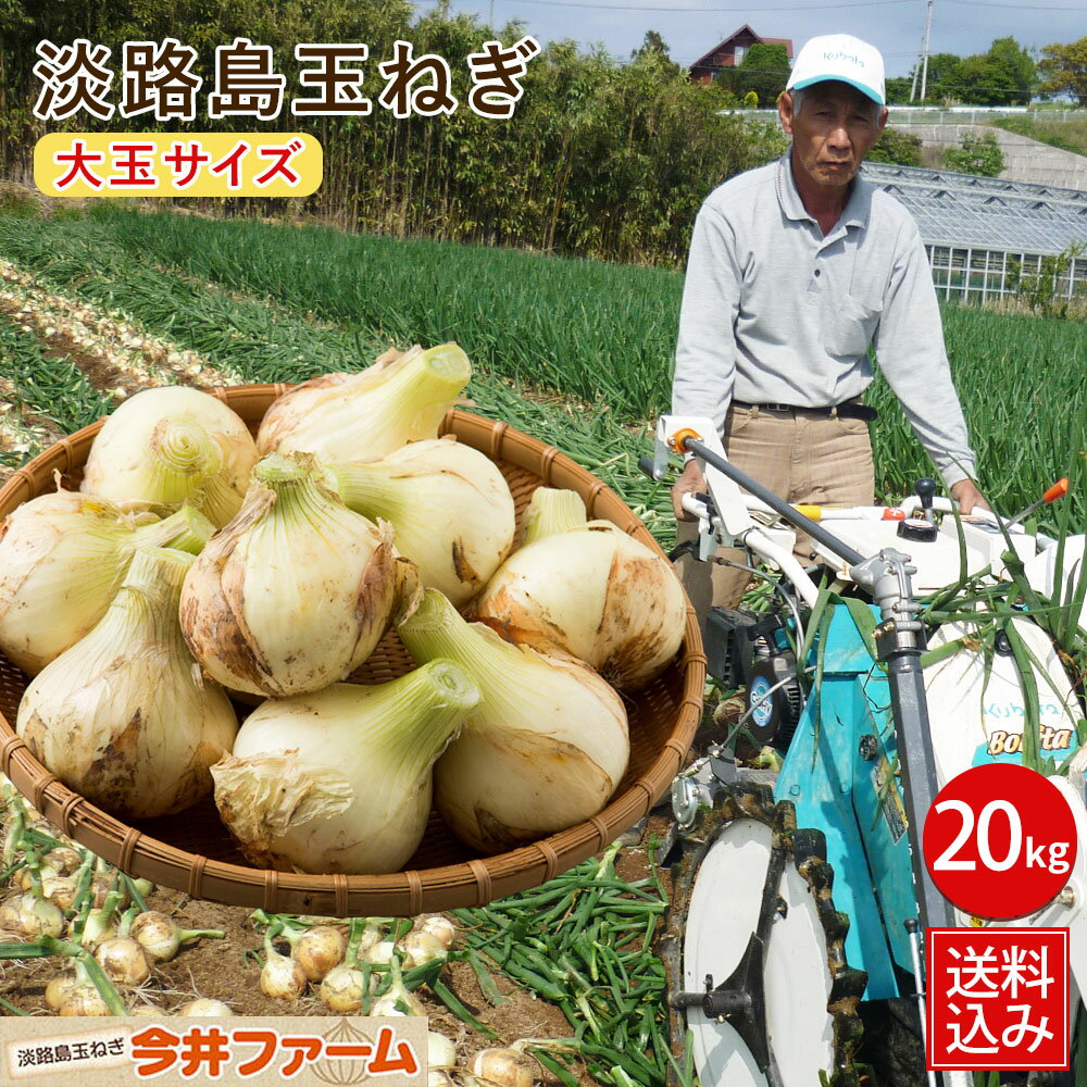 楽天市場】新玉ねぎ 20kgの通販