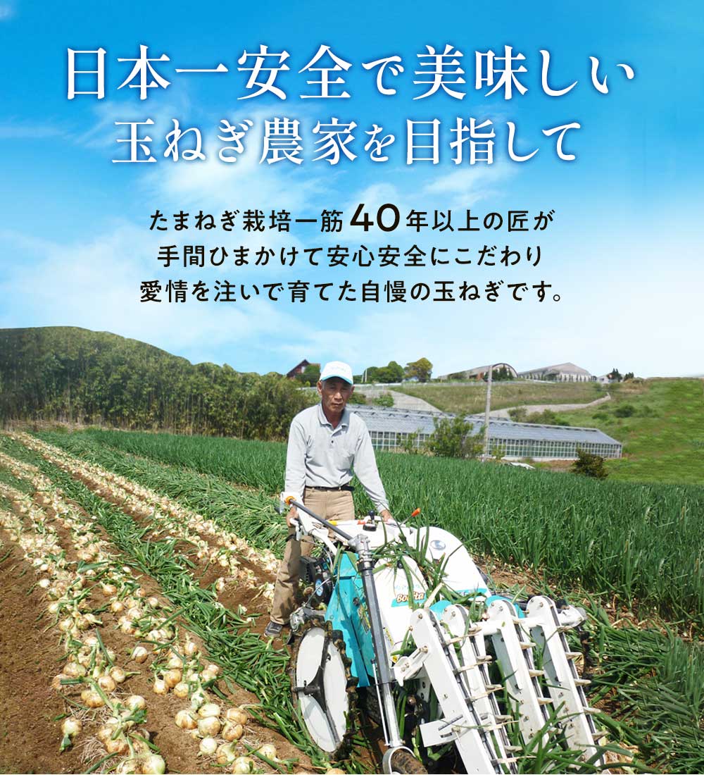 【新玉ねぎ予約(5月頃より順次発送予定)】【送料無料】＃特選 淡路島玉ねぎ 5キロ＃ たまねぎ 玉葱 タマネギ 淡路島 玉ねぎ たまねぎ 玉葱 玉ねぎ
