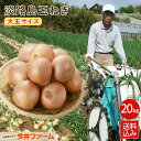 【期間限定10%OFF】【送料無料】 #淡路島たまねぎ大玉20K# 淡路島 玉ねぎ 玉葱 たまねぎ タマネギ たまねぎ 玉葱 玉ねぎ