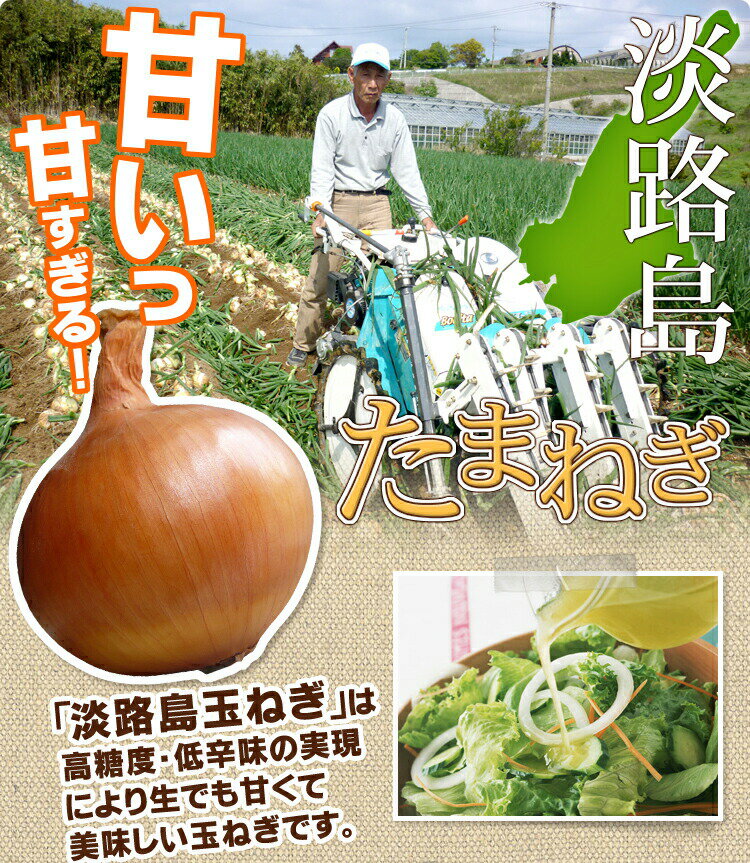 【送料無料】【訳あり】淡路島たまねぎ5キロ 【タマネギ】たまねぎ＃訳あり淡路玉ねぎ5K＃ 「淡路島産たまねぎ」 淡路島 玉ねぎ 玉葱 タマネギ たまねぎ たまねぎ 玉葱 玉ねぎ