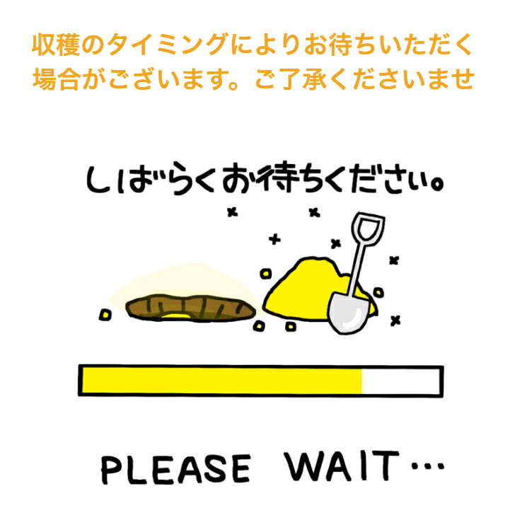 淡路島 玉ねぎ 新玉ねぎ 5kg 送料無料 兵庫県 淡路島産 新たまねぎ 新タマネギ 新玉葱 淡路島ファーム 玉ねぎ淡路島 5キロ サラダ 生食 たまねぎステーキ 丸ごとスープ 淡路島玉ねぎ 淡路たまねぎ 野菜 甘い玉ねぎ あまいたまねぎ