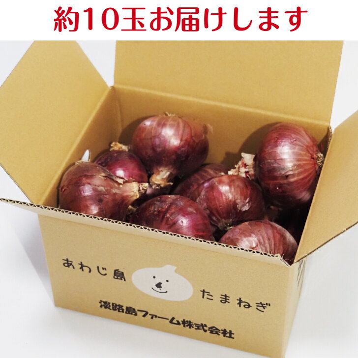 淡路島 玉ねぎ 赤玉ねぎ 紫玉ねぎ 3kg 送料無料 兵庫県 淡路島産 紫たまねぎ 赤タマネギ 赤たまねぎ 赤玉葱 淡路島ファーム 玉ねぎ淡路島 3キロ サラダ 生食 レッドオニオン ピクルス ポテトサラダ アーリーレッド 淡路島玉ねぎ 淡路たまねぎ 野菜 甘い玉ねぎ あまいたまねぎ 3