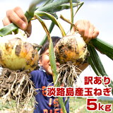 【訳あり】 玉ねぎ 5kg 兵庫県 淡路島産 たまねぎ 淡路島 タマネギ 淡路 玉葱 5キロ
