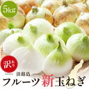 【 1000円ポッキリ 送料無料 】 手間入らず☆野菜不足と感じた時に ドライオニオン 130g 【メール便でお届け】淡路島いつでも乾燥玉ねぎ！ たまねぎ 野菜 乾燥野菜 国産 無添加 常備菜 みそ汁の具 味噌汁の具 乾燥 簡単 料理 ドライベジ 災害時 料理 調理不要 お試し 食品