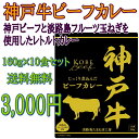 淡路島フルーツ玉ねぎと神戸ビーフ使用★神戸牛ビーフカレー10袋セット【レトルトカレー】【保存食】【送料込み】