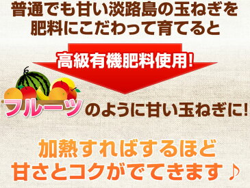 雑誌【anan】掲載！淡路島フルーツ玉ねぎ5kg　2018年【送料無料】セレブたまねぎ！淡路島フルーツ玉ねぎ　タマネギ　玉ねぎ　淡路島たまねぎ　淡路島玉ねぎ