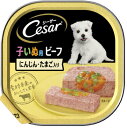 CE50N シーザー 2ヵ月からの子犬用ビーフ キャロット・たまご入り 100g マース ペット フード ドッグフード
