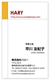 カラー名刺 作成 印刷 縦型　【100枚単位】名刺ケース1個付属。四角とラインの組み合わせ。名刺印刷内容は注文フォームにご記入頂くか、別途メールでお知らせください。ロゴ、イラスト、写真の配置も可能です。ビジネス　趣味　プライベート　お店　会社