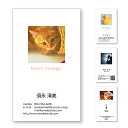 写真名刺 名刺印刷 名刺作成 縦型【100枚単位】名刺ケース1個付属。上部に四角に写真を配置したデザインです。名刺印刷内容は注文フォームにご記入頂くか、別途メー...