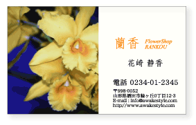 写真名刺 作成 印刷 【10枚単位】半分写真のデザインです。人物写真、ペットの写真、風景、ショップカードや結婚二次会のサンクスカードなどにもお勧めです。写真を入稿頂いて名刺に印刷します。