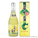 シークヮーサーのお酒 10度,720ml / 龍泉酒造 / 四合 泡盛 リキュール 贈り物 ギフト お歳暮 お中元 敬老の日 父の日 家飲み 宅飲み