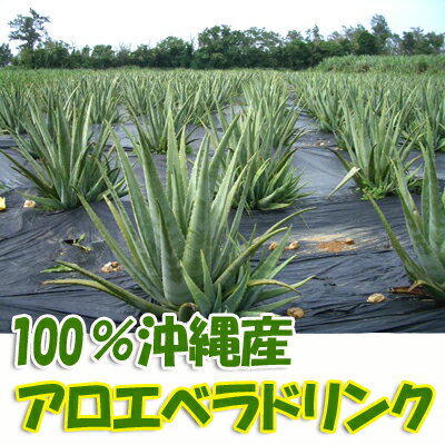 沖縄産アロエベラジュース(国産アロエドリンク) 【送料無料】10袋セット1000ml×10袋入り平日12時までのご注文で即日出荷 あす楽ジュースクレンズ クレンズジュース プチ断食 ジュース ファスティング ジュース 2022年10月度　月間優良ショップ受賞！ 3