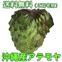 沖縄産アテモヤ 白箱入り2kg 送料無料ギフト(贈答)や沖縄土産で人気の果物(くだもの・沖縄食材) 送料無料市場 お試し スイーツ 販売(楽天通販)　引越し 挨拶 ギフト