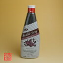チョコレートシロップおいしんだから!食べてみて!500gジーエスフード【RCP】