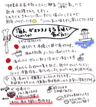 沖縄津堅島産塩もずく300g×2個 送料無料つけん島モズク事業共同組合※メール便発送※5セット以上でタレ1本プレゼント産地直送 ダイエット 通販 1000円ポッキリ スーパーフード1000円ぽっきり 【送料無料市場】おつまみ 保存食 お得 セット 保存食品