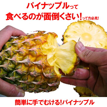 スナックパイン 沖縄産 パイナップル 約1.5kg 送料無料自社管理農園から直送だから安心保証付き沖縄産フルーツ パイナップルの通販はお任せ下さい 母の月 母の日 父の日 ギフト