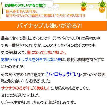 スナックパイン 沖縄産 パイナップル 約5.0kg 送料無料自社管理農園から直送だから安心保証付き沖縄産フルーツ パイナップル 母の日の通販はお任せ下さい ギフト 母の月 父の日