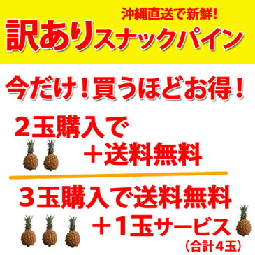 訳あり沖縄産スナックパイン（ボゴールパイン）1玉（300g〜499g）1000円2玉以上の購入で【送料無料】話題のパイナップル 父の日 ギフト