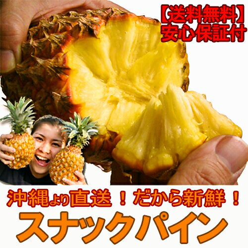 【送料無料】沖縄産スナックパイン約1.5kg自社管理農園から直送だから安心保証付き沖縄産フルーツ パイナップルの通販はお任せ下さい ギフト