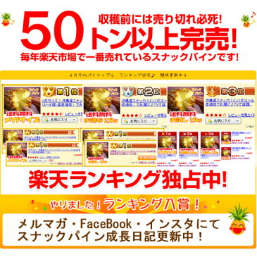 沖縄産スナックパイン(パイナップル)お試し1玉 送料無料自社栽培だから安心保証付パイナップル(沖縄産果物/南国フルーツ)専門店 ギフト 母の月 母の日 父の日