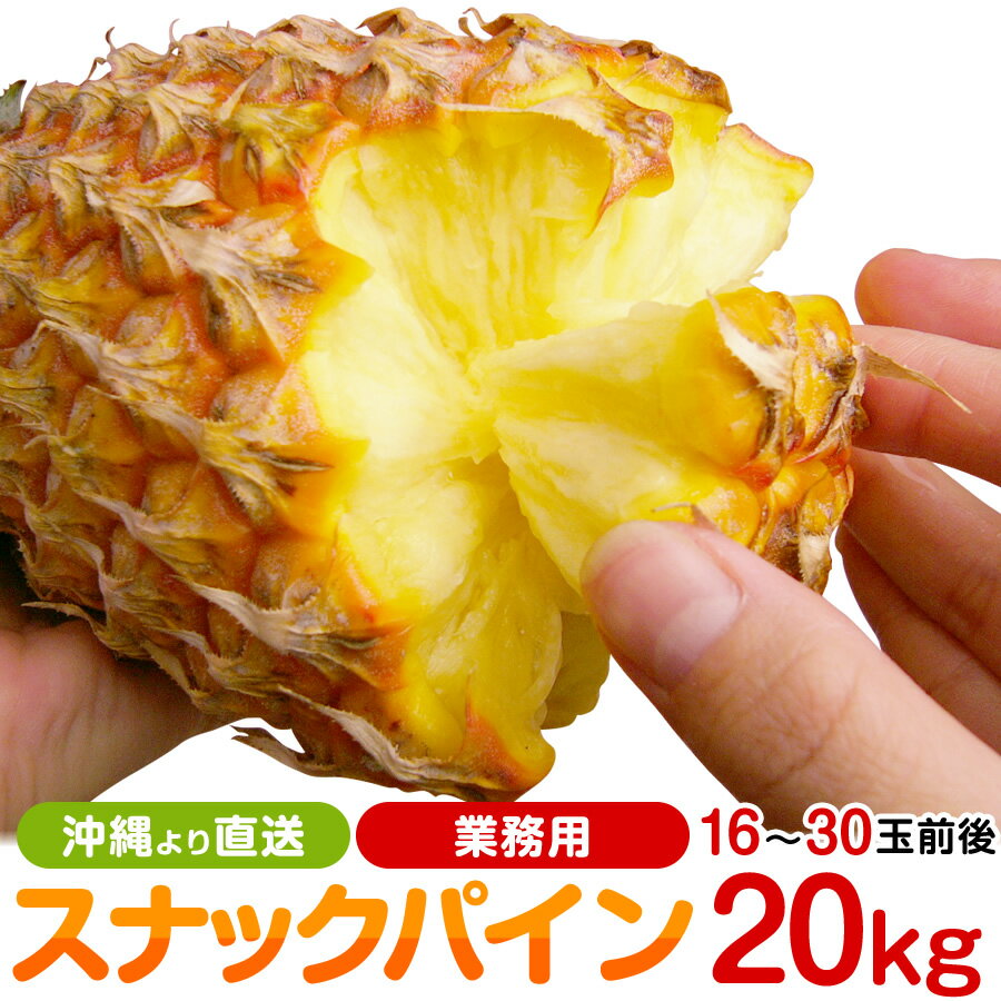 【青空レストランで紹介】業務用 沖縄産スナックパイン パイナップル 約20.0kg 16〜30個 送料無料山川さん アッコ店長出演 自社管理農園から直送だから安心保証付沖縄産フルーツ ギフト 季節限…