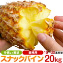 【青空レストランで紹介】業務用 沖縄産スナックパイン パイナップル 約20.0kg(16〜30個) 送料無料山川さん アッコ店…