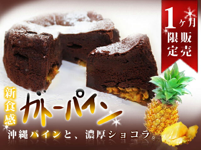 【送料無料】ガトーパイン（ガトーショコラ）具志川商業高校　楽天IT学校